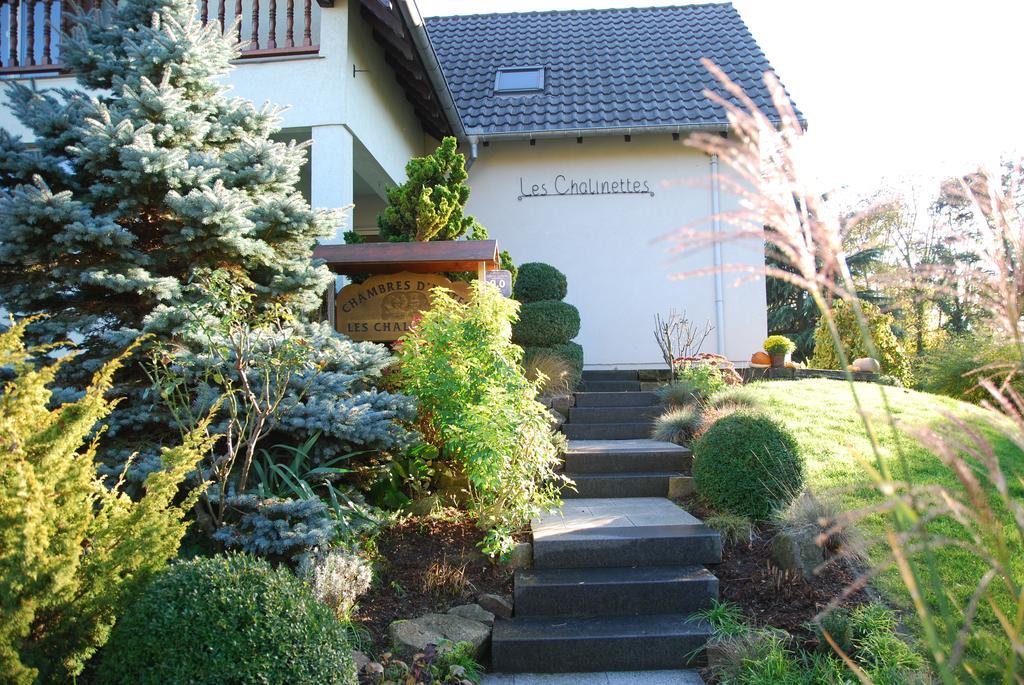 Chambres D'Hotes Les Chalinettes Fegersheim Zewnętrze zdjęcie