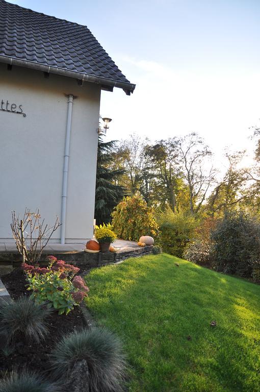 Chambres D'Hotes Les Chalinettes Fegersheim Zewnętrze zdjęcie